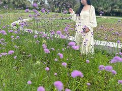 -瑶湖郊野森林公园