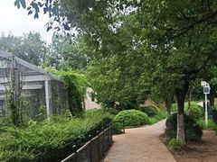 -合肥野生动物园