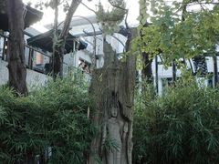 -申粤轩酒楼·三十年粤菜经典(丁香花园店)