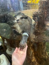 -Zoolung Zoolung动物主题公园(海信广场店)