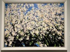 -陕西省美术博物馆