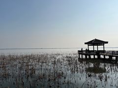 -莲花岛景区