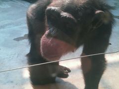 -石家庄市动物园