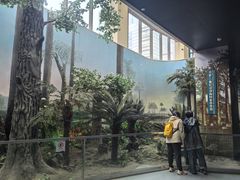 -安徽省地质博物馆