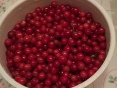 -樱桃山旅游景区