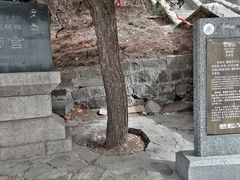 -泰山风景名胜区