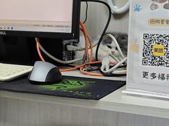 -宠物星动物医院·眼科·异宠·猫科(江南大道总院)