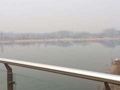 -东营·森林乐园