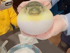 -肆月河豚·新淮扬(金融街店)