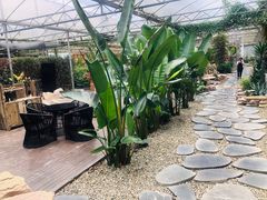 -桉树林A coffee 森林餐厅(三圣乡店)