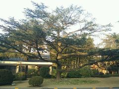 -西郊宾馆·1921餐厅