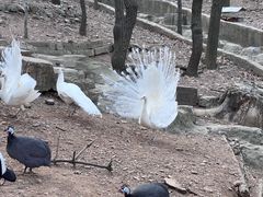-大连老虎滩海洋公园