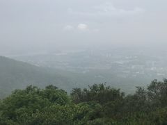 -紫金山索道-售票处