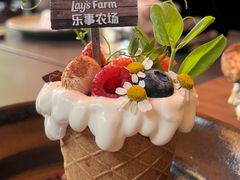 提拉米苏花园土豆盆栽-Calix&Lay's(新天地店)
