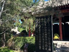 -碑林公园