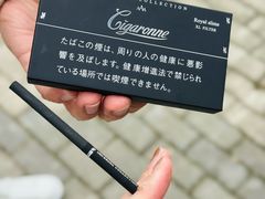 -日上免税行(浦东机场五店)