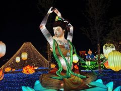 -洋湖国家湿地公园