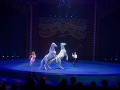 -珠海横琴长隆《卡卡虎奇遇记》