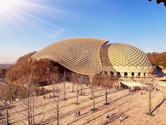 -牛首山文化旅游区