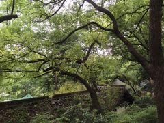 -鼓楼(西湖风景名胜区)