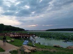 -丁香湖公园