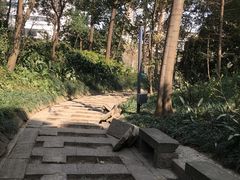 -成都市活水公园