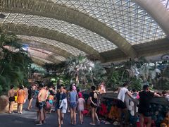 -杭州开元森泊度假乐园