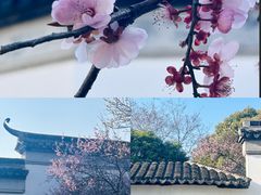 -八大山人梅湖景区