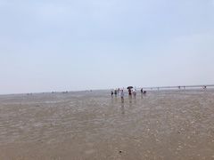 -碧海金沙