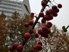 -北京化工大学(东校区)