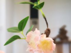 -天河潭旅游度假区