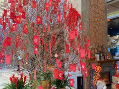 -大中华希尔顿酒店-念自助餐·海南美食·三文鱼