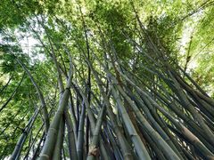 -英西峰林·洞天仙境