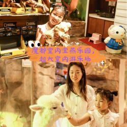 -宝燕乐园(闵行旗舰店)