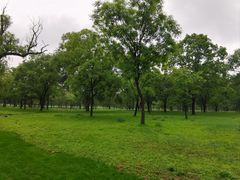 -承德避暑山庄景区