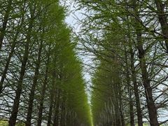 -嘉北郊野公园