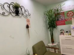 -苗方清颜·祛痘皮肤管理