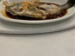 清蒸鲈鱼-鸢飞潍坊菜馆(鸢飞大酒店)