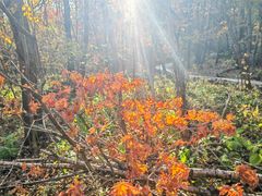 -五女峰国家森林公园