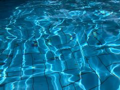 -重庆海昌加勒比海水世界