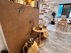 -楼上猫咖(罗湖店)