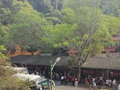 -野象谷景区