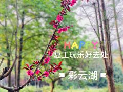 -重庆彩云湖湿地公园