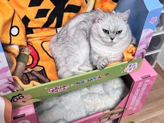 -山姆会员商店(亦庄创意生活广场店)