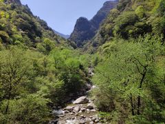 -青峰峡国家森林公园