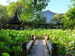 -上海醉白池公园