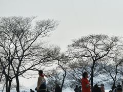 -蠡湖大桥公园