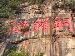 -铁山坪森林公园