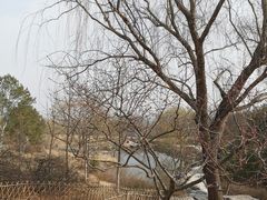 -北京西山国家森林公园