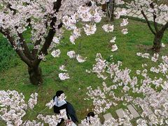 -苏州上方山国家森林公园